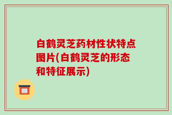 白鹤灵芝药材性状特点图片(白鹤灵芝的形态和特征展示) 白鹤灵芝药材性状特点图片(白鹤灵芝的形态和特征展示)