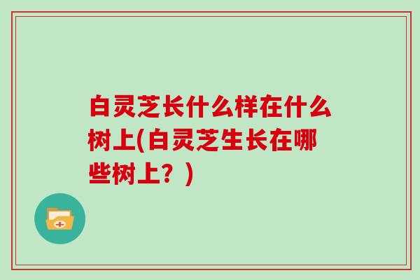 白灵芝长什么样在什么树上(白灵芝生长在哪些树上？)