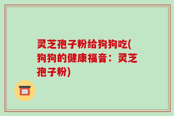 灵芝孢子粉给狗狗吃(狗狗的健康福音：灵芝孢子粉)