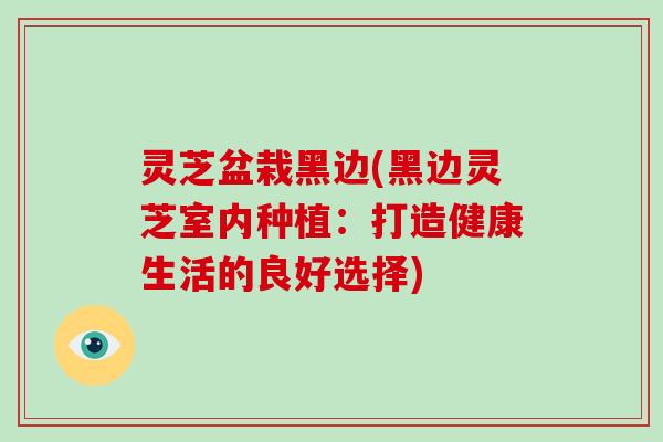 灵芝盆栽黑边(黑边灵芝室内种植：打造健康生活的良好选择)