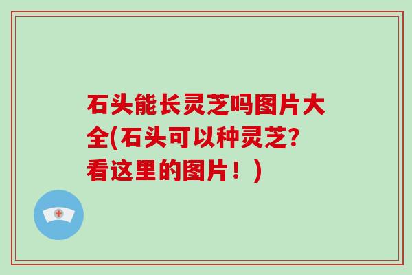 石头能长灵芝吗图片大全(石头可以种灵芝？看这里的图片！)