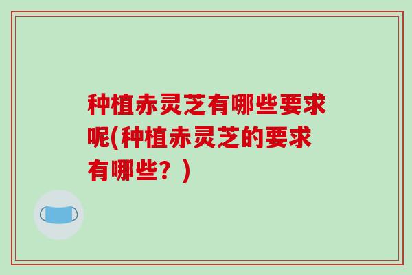 种植赤灵芝有哪些要求呢(种植赤灵芝的要求有哪些？)