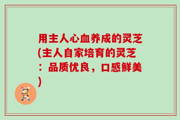 用主人心养成的灵芝(主人自家培育的灵芝：品质优良，口感鲜美)