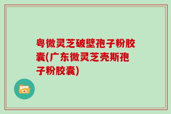 粤微灵芝破壁孢子粉胶囊(广东微灵芝壳斯孢子粉胶囊)