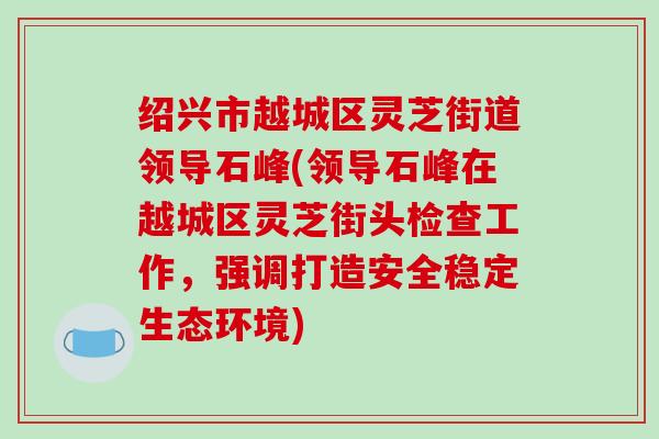 绍兴市越城区灵芝街道领导石峰(领导石峰在越城区灵芝街头检查工作，强调打造安全稳定生态环境)