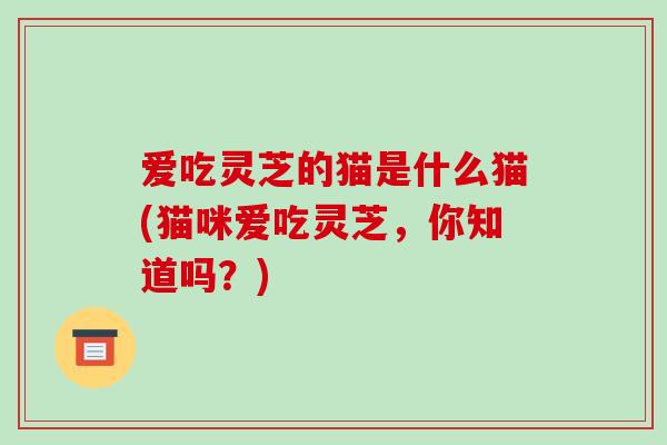 爱吃灵芝的猫是什么猫(猫咪爱吃灵芝，你知道吗？)
