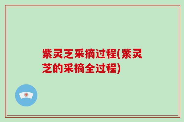 紫灵芝采摘过程(紫灵芝的采摘全过程)