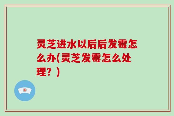 灵芝进水以后后发霉怎么办(灵芝发霉怎么处理？)