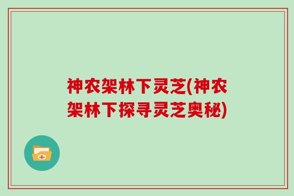 神农架林下灵芝(神农架林下探寻灵芝奥秘)