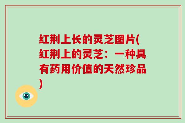红荆上长的灵芝图片(红荆上的灵芝：一种具有药用价值的天然珍品)