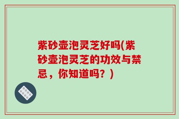 紫砂壶泡灵芝好吗(紫砂壶泡灵芝的功效与禁忌，你知道吗？)