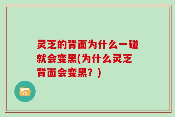 灵芝的背面为什么一碰就会变黑(为什么灵芝背面会变黑？)