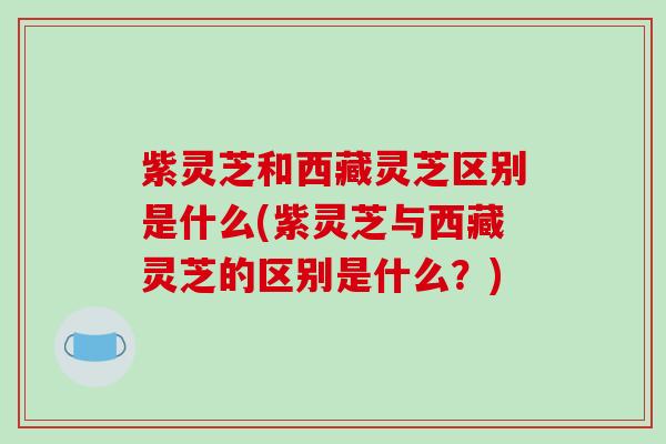 紫灵芝和西藏灵芝区别是什么(紫灵芝与西藏灵芝的区别是什么？)