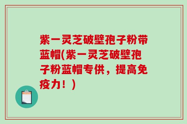 紫一灵芝破壁孢子粉带蓝帽(紫一灵芝破壁孢子粉蓝帽专供，提高免疫力！)