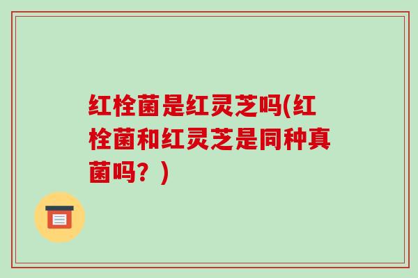 红栓菌是红灵芝吗(红栓菌和红灵芝是同种真菌吗？)