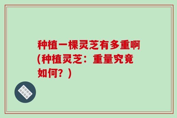 种植一棵灵芝有多重啊(种植灵芝：重量究竟如何？)