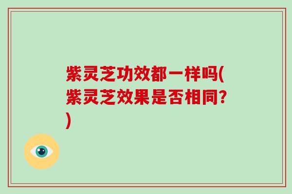 紫灵芝功效都一样吗(紫灵芝效果是否相同？)