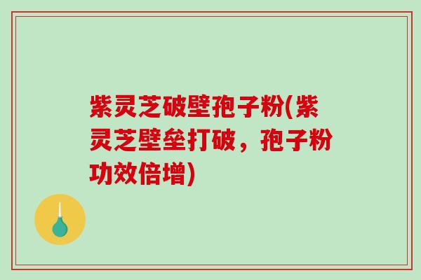 紫灵芝破壁孢子粉(紫灵芝壁垒打破，孢子粉功效倍增)