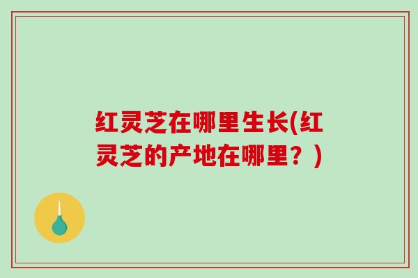 红灵芝在哪里生长(红灵芝的产地在哪里？)