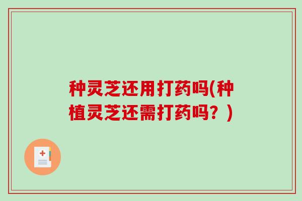 种灵芝还用打药吗(种植灵芝还需打药吗？)