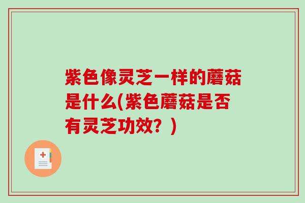 紫色像灵芝一样的蘑菇是什么(紫色蘑菇是否有灵芝功效？)