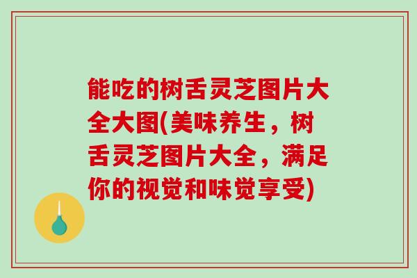 能吃的树舌灵芝图片大全大图(美味养生，树舌灵芝图片大全，满足你的视觉和味觉享受)