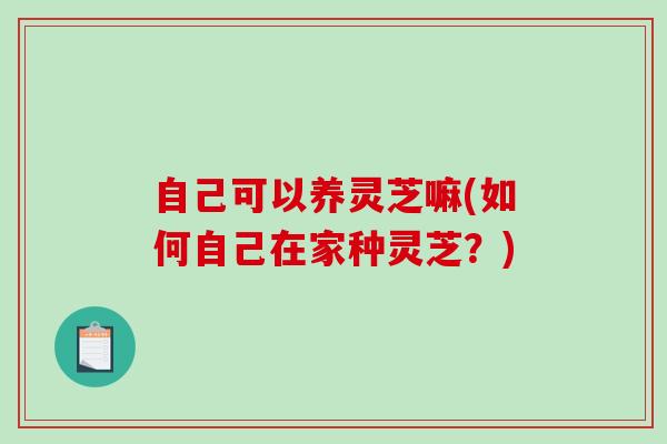 自己可以养灵芝嘛(如何自己在家种灵芝？)