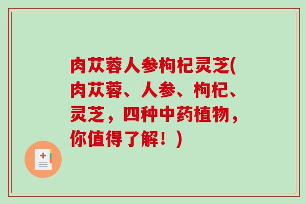 肉苁蓉人参枸杞灵芝(肉苁蓉、人参、枸杞、灵芝，四种植物，你值得了解！)