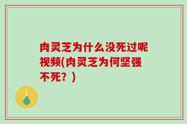 肉灵芝为什么没死过呢视频(肉灵芝为何坚强不死？)