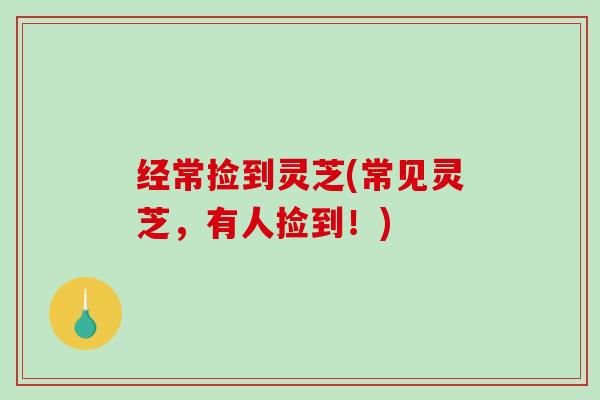 经常捡到灵芝(常见灵芝，有人捡到！)