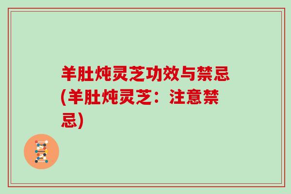 羊肚炖灵芝功效与禁忌(羊肚炖灵芝：注意禁忌)