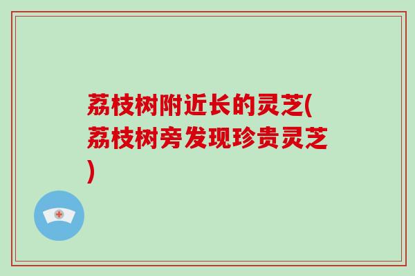 荔枝树附近长的灵芝(荔枝树旁发现珍贵灵芝)