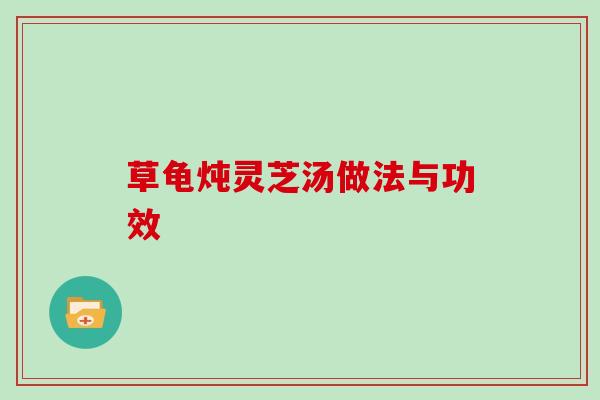 草龟炖灵芝汤做法与功效