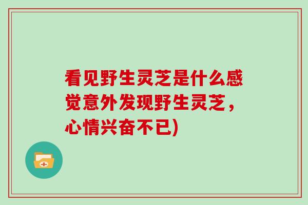 看见野生灵芝是什么感觉意外发现野生灵芝，心情兴奋不已)