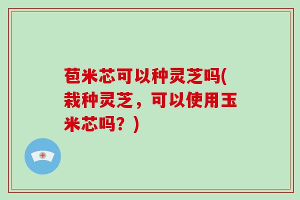 苞米芯可以种灵芝吗(栽种灵芝，可以使用玉米芯吗？)