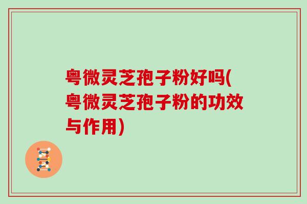粤微灵芝孢子粉好吗(粤微灵芝孢子粉的功效与作用)