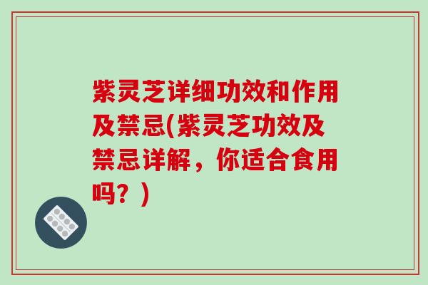 紫灵芝详细功效和作用及禁忌(紫灵芝功效及禁忌详解，你适合食用吗？)