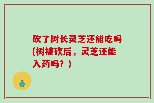 砍了树长灵芝还能吃吗(树被砍后，灵芝还能入药吗？)