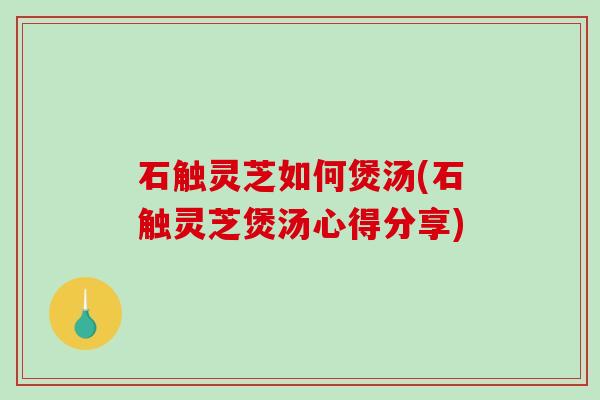 石触灵芝如何煲汤(石触灵芝煲汤心得分享)