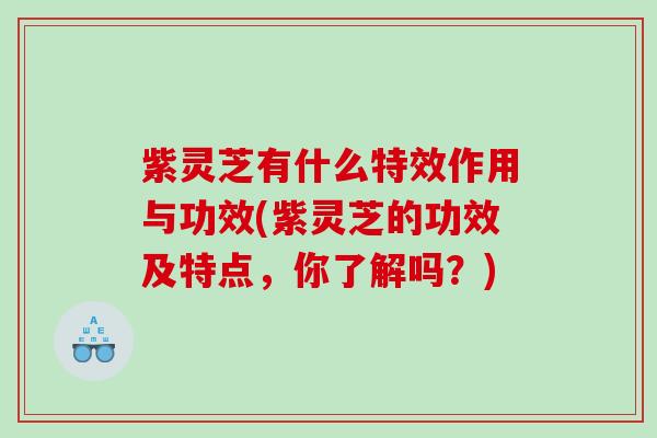 紫灵芝有什么特效作用与功效(紫灵芝的功效及特点，你了解吗？)