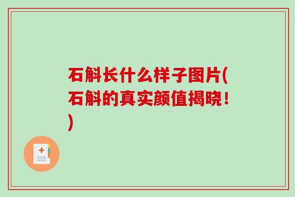 石斛长什么样子图片(石斛的真实颜值揭晓！)