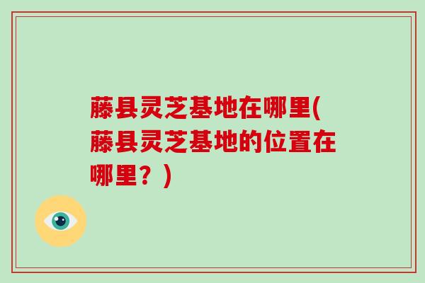 藤县灵芝基地在哪里(藤县灵芝基地的位置在哪里？)