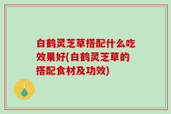 白鹤灵芝草搭配什么吃效果好(白鹤灵芝草的搭配食材及功效)