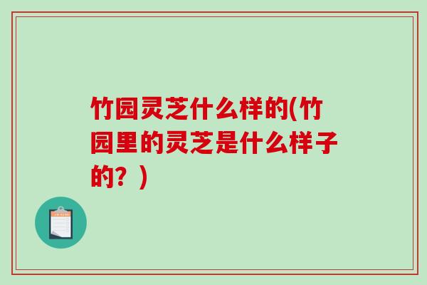竹园灵芝什么样的(竹园里的灵芝是什么样子的？)