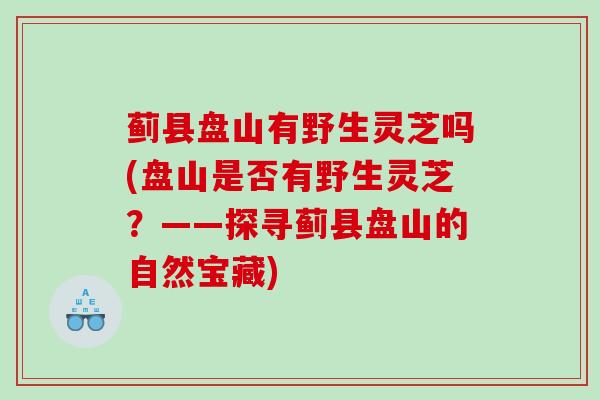 蓟县盘山有野生灵芝吗(盘山是否有野生灵芝？——探寻蓟县盘山的自然宝藏)