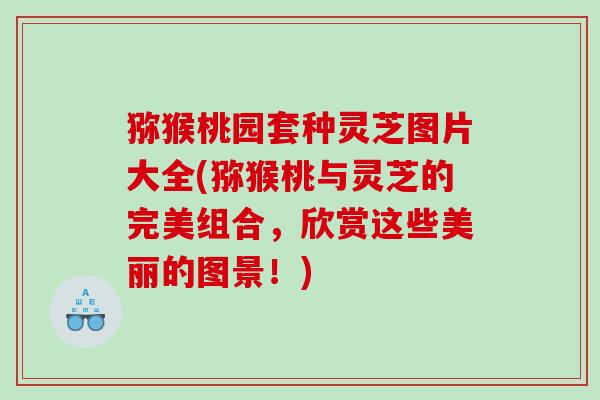 猕猴桃园套种灵芝图片大全(猕猴桃与灵芝的完美组合，欣赏这些美丽的图景！)