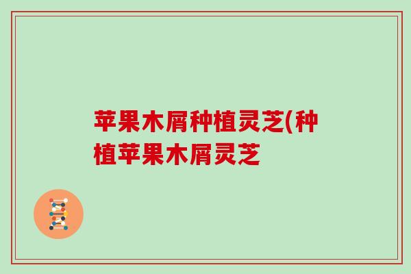 苹果木屑种植灵芝(种植苹果木屑灵芝
