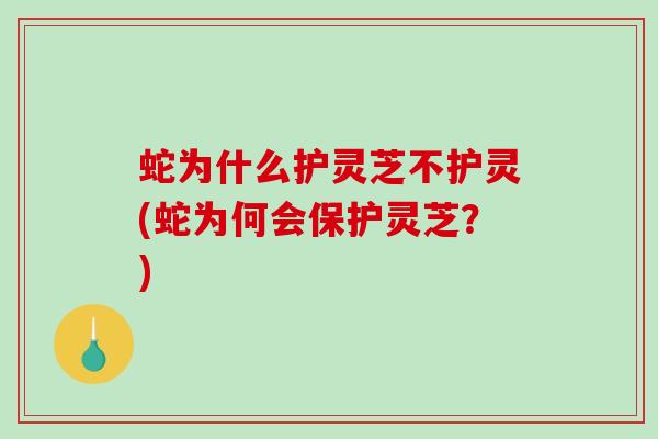 蛇为什么护灵芝不护灵(蛇为何会保护灵芝？)