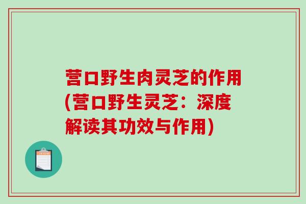 营口野生肉灵芝的作用(营口野生灵芝：深度解读其功效与作用)