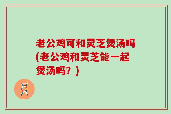 老公鸡可和灵芝煲汤吗(老公鸡和灵芝能一起煲汤吗？)